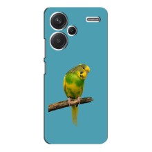 Силиконовый чехол с птичкой на Xiaomi Redmi Note 13 Pro Plus (Попугайчик)