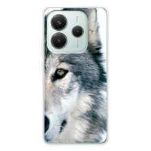 Чехлы с картинками животных Xiaomi Redmi Note 14 5G (Волк)