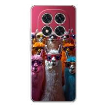 Чехол с принтом стильные животные для Редми Нот 14 Про Плюс – Ламы в очках