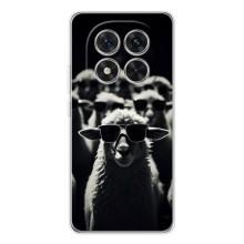 Чехол с принтом стильные животные для Редми Нот 14 Про Плюс – Овечка в очках