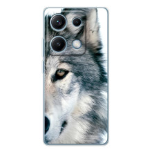 Чехлы с картинками животных Xiaomi Redmi Note 14S (Волк)