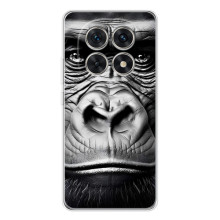 Чохли з Горилою на Шіаомі Редмі Ноут 15 5G – Чорна мавпа