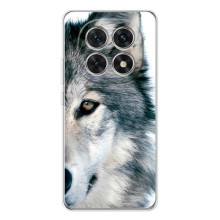 Чехлы с картинками животных Xiaomi Redmi Note 15 5G (Волк)