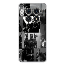 Чохол ДОБЕРМАН  для Xiaomi Redmi Note 15 5G (Колаж Доберман)