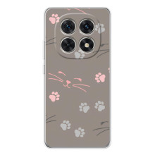 Чохол з малюнком кіт на Xiaomi Redmi Note 15 5G (Лапи і вуса)