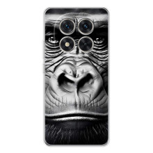 Чехлы с Горилой на Xаomi Рэдми Нот 15 Про 5G – Черная обезьяна