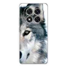 Чехлы с картинками животных Xiaomi Redmi Note 15 Pro 5G (Волк)