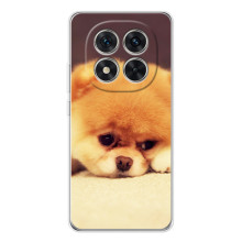 Чехол (ТПУ) Милые собачки для Xiaomi Redmi Note 15 Pro 5G – Померанский шпиц