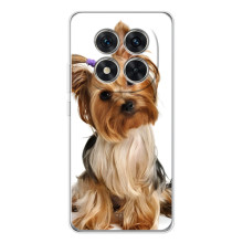 Чехол (ТПУ) Милые собачки для Xiaomi Redmi Note 15 Pro 5G – Собака Терьер