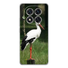 Силиконовый чехол с птичкой на Xiaomi Redmi Note 15 Pro Plus – Лелека