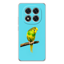 Силиконовый чехол с птичкой на Xiaomi Redmi Note 15 Pro Plus – Попугайчик