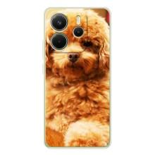 Чехлы с собаками для Xiaomi Redmi Note 15 (VPrint) (Щенок Бишон)
