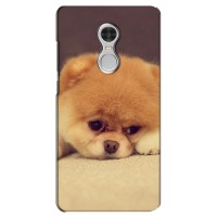 Чехол (ТПУ) Милые собачки для Xiaomi Redmi Note 4 (Померанский шпиц)
