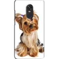 Чехол (ТПУ) Милые собачки для Xiaomi Redmi Note 4X – Собака Терьер