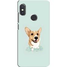 Чехлы с собаками для Xiaomi Redmi Note 5 (VPrint) (Корги)