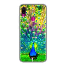 Чехол с птицами на Xiaomi Redmi Note 7 Pro (VPrint) (Яркий Павлин)