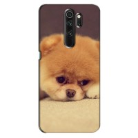 Чехол (ТПУ) Милые собачки для Xiaomi Redmi Note 8 Pro (Померанский шпиц)