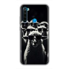 Чехол с принтом стильные животные для Сяоми Редми Ноут 8 – Овечка в очках