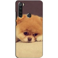 Чехол (ТПУ) Милые собачки для Xiaomi Redmi Note 8T (Померанский шпиц)