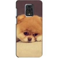 Чехол (ТПУ) Милые собачки для Xiaomi Redmi Note 9 Pro Max – Померанский шпиц