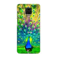 Чохол з пташками на Xiaomi Redmi Note 9 Pro (VPrint) (Яскравий Павлин)