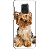 Чехол (ТПУ) Милые собачки для Xiaomi Redmi Note 9S – Собака Терьер
