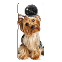 Чехол (ТПУ) Милые собачки для Xiaomi Redmi Note 9T – Собака Терьер