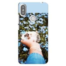 Чохли з зображенням різних тварин на Xiaomi Redmi S2 (Їжачок в руці)