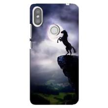 Чохли з зображенням різних тварин на Xiaomi Redmi S2 (Кінь)