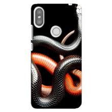Чохли з зображенням різних тварин на Xiaomi Redmi S2 (Змія)
