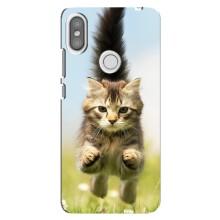 Чехлы с Котиками для Xiaomi Redmi S2 (VPrint) (Прыжок кота)