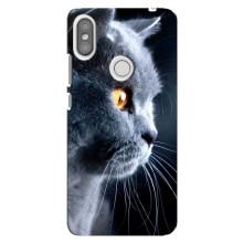Чехлы с Котиками для Xiaomi Redmi S2 (VPrint) (Серый Кот)