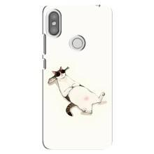 Чохол на тематику: Коти для Xiaomi Redmi S2 – Відпочинок