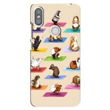 Чохол з Прикольним Принтом на Xiaomi Redmi S2 – Йога свинок