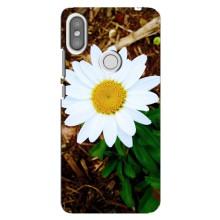 Чехол с ромашками на Xiaomi Redmi S2 – Белая ромашка
