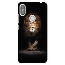 Чохол з картинкою ЛЕВ для Xiaomi Redmi S2 (VPrint) (Лев)