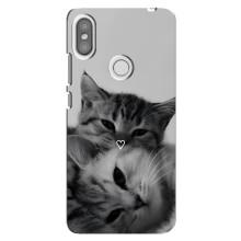 Чехол с рисунком кот на Xiaomi Redmi S2 – Пара котов