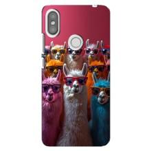 Чехол с принтом стильные животные для Редми S2 – Ламы в очках
