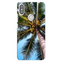 Силіконовий чохол з КАРТИНКАМИ літо для Xiaomi Redmi S2 (AlphaPrint) (Пальма)