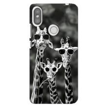 Силіконовий чохол з КАРТИНКАМИ літо для Xiaomi Redmi S2 (AlphaPrint) (Жирафи в окулярах)