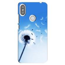 Силиконовый Чехол с одуванчиками на Xiaomi Redmi S2 – Одуванчик на голубом