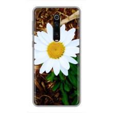 Чохол з ромашками на Xiaomi Mi 9T – Біла ромашка