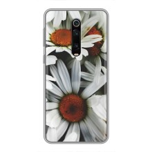 Чохол з ромашками на Xiaomi Mi 9T – Квіти Ромашки