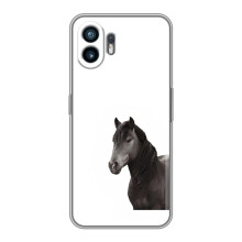 Чехлы с Лошадью дляXiaomi Turbo 4 (VPrint) (Чорний кінь)