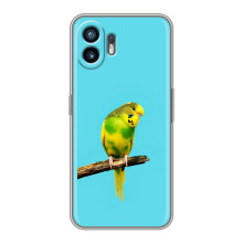 Силіконовий бампер з птичкою на Xiaomi Turbo 4 – Попугайчик