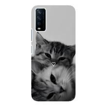 Чохол з малюнком кіт на ViVO Y12s – Пара котів