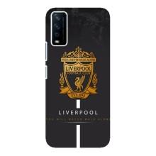 Чехлы для Виво у12с (VPrint) - ТОП ФК (FC Liverpool)