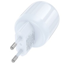 СЗУ Borofone BA94A Lustrous PD30W+QC3.0 (1USB-A/1C) – Голубой