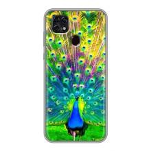 Чохол з пташками на ZTE Blade 20 Smart (VPrint) (Яскравий Павлин)
