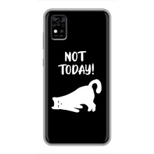 Бампер с изображением Котиков для ЗТЕ Блейд А31 – Not Today